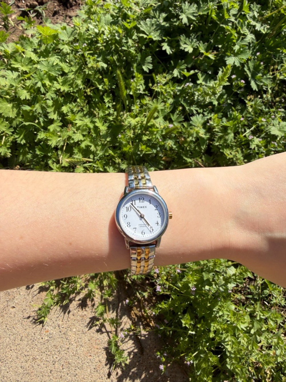 Timex Two-Tone Silver and Gold Round Dial Women's Watch